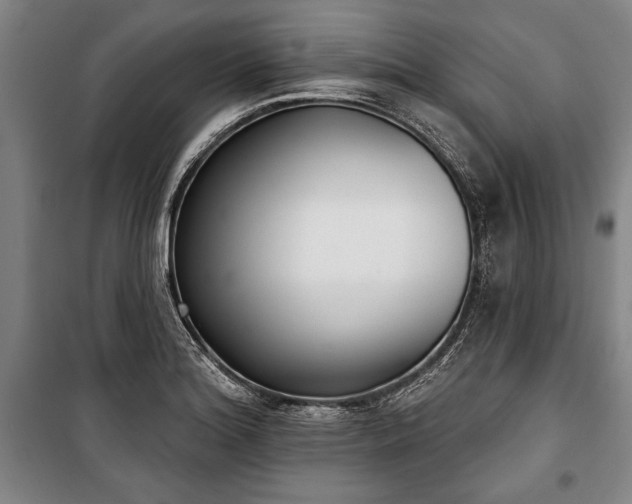 X0000101201180200806271343