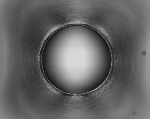 X0000101201181200806271343