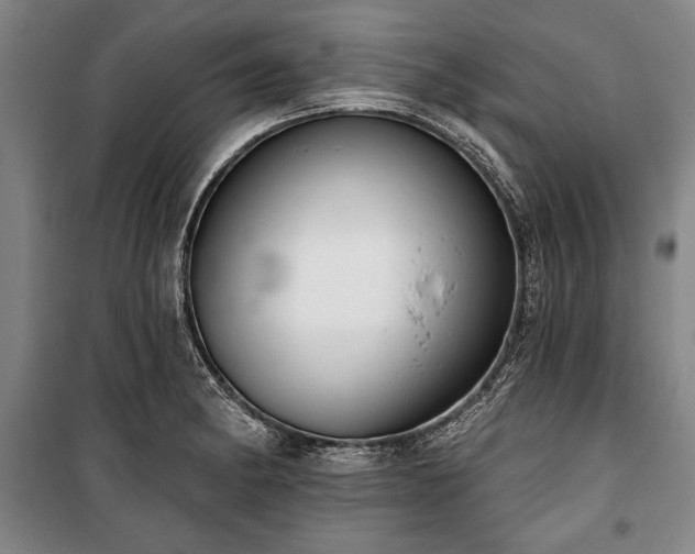 X0000101201182200806271343