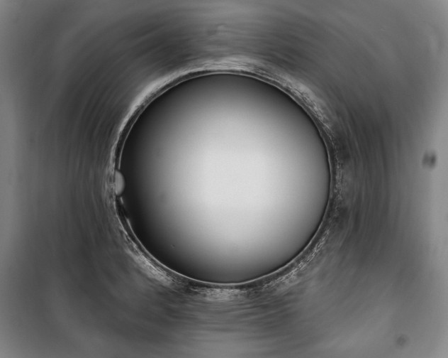 X0000101201184200806271343