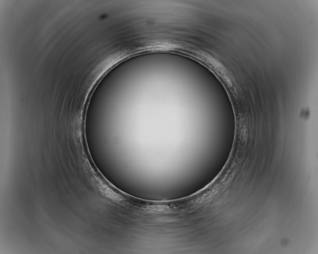 X0000101201186200806271343