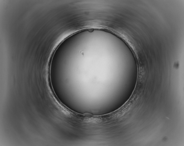 X0000101201187200806271343