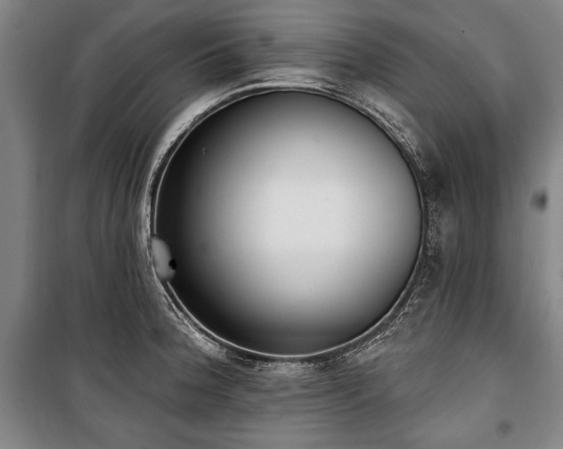 X0000101201188200806271343