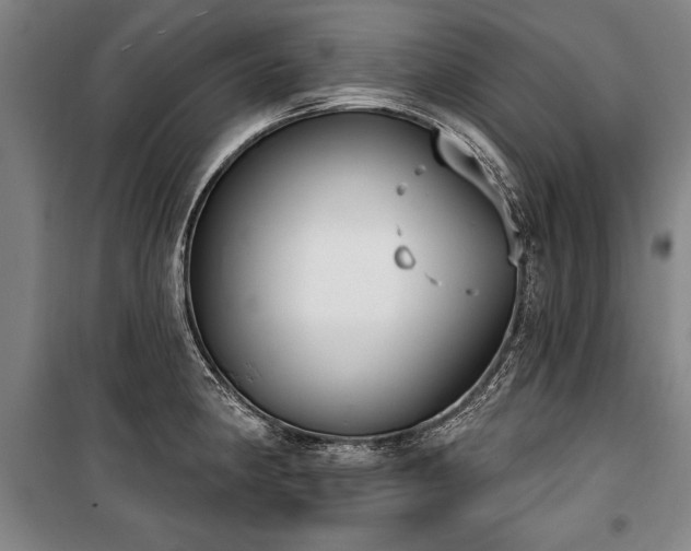 X0000101201190200806271343