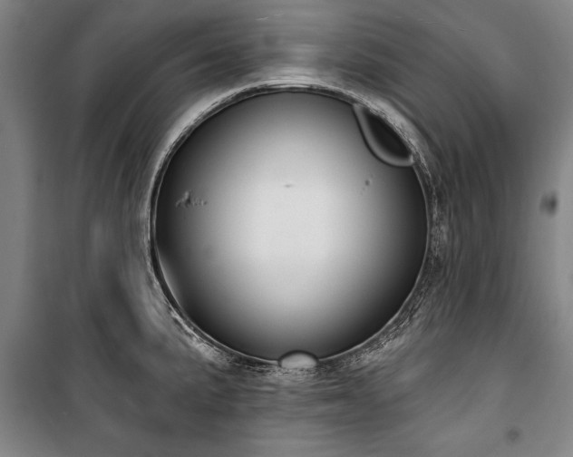 X0000101201191200806271343