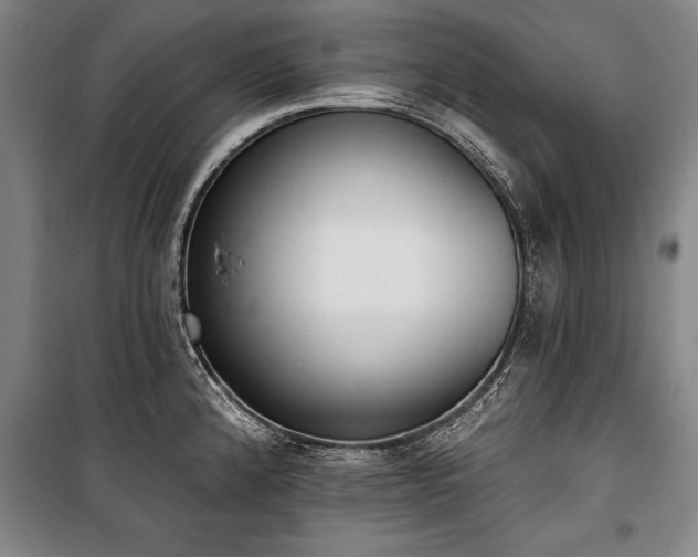 X0000101201192200806271343