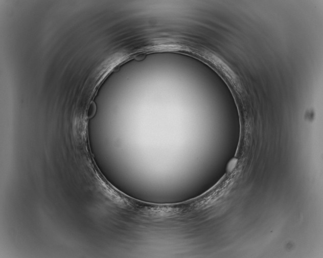X0000101201193200806271343
