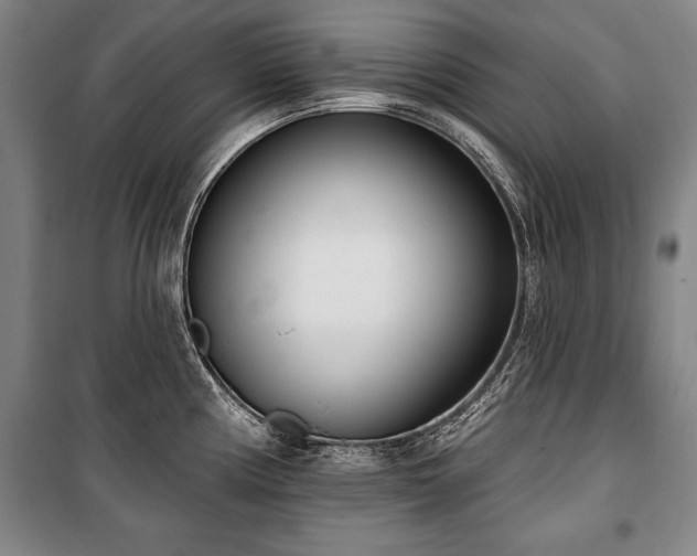 X0000101201194200806271343