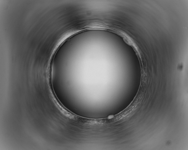 X0000101201195200806271343