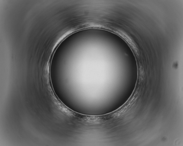 X0000101201198200806271343