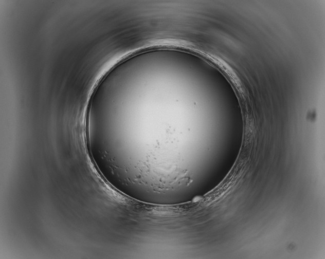 X0000101201199200806271343