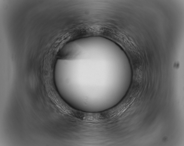 X0000101201201200806271342