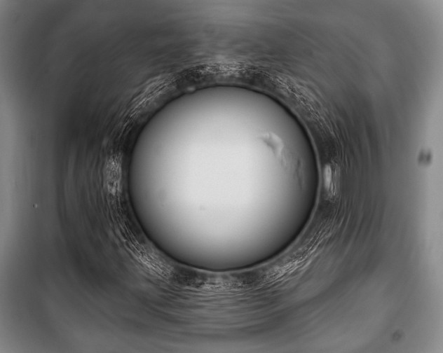 X0000101201203200806271342