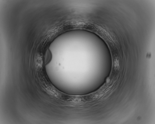 X0000101201204200806271342