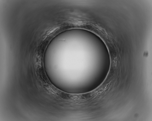 X0000101201205200806271342