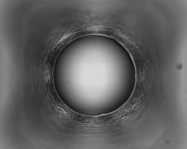 X0000101201206200806271342