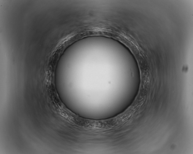 X0000101201207200806271342