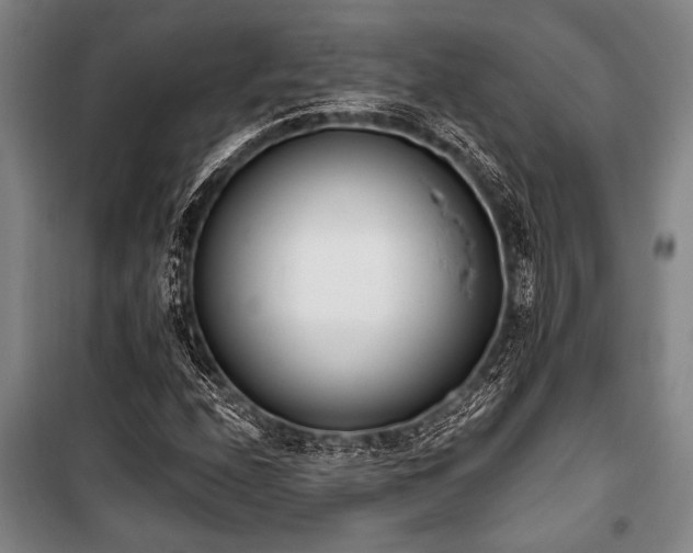 X0000101201208200806271342