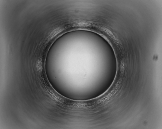 X0000101201209200806271342
