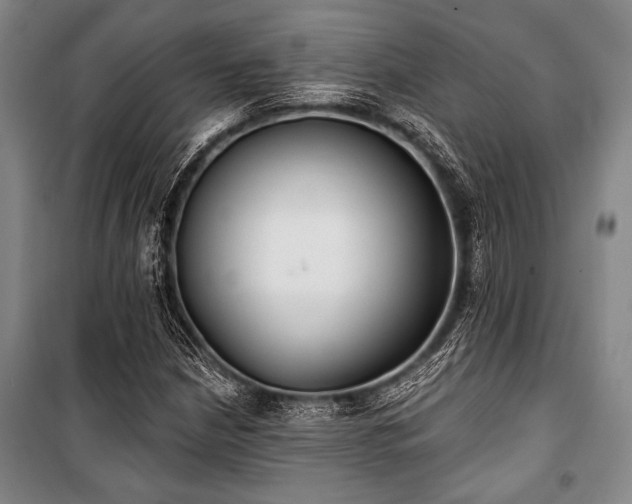 X0000101201210200806271342
