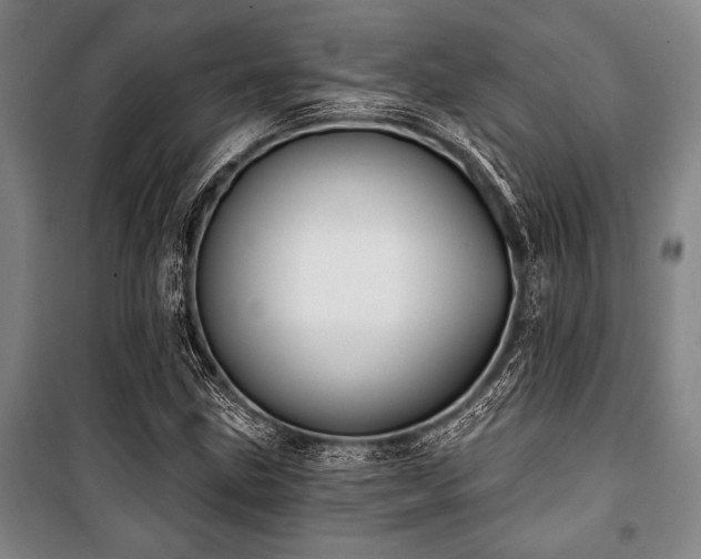 X0000101201211200806271342