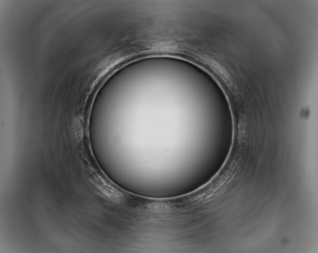 X0000101201212200806271343