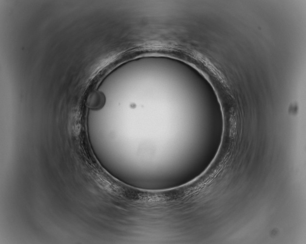 X0000101201213200806271343