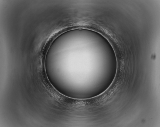 X0000101201214200806271343