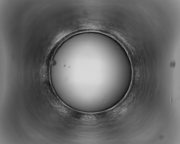 X0000101201215200806271343