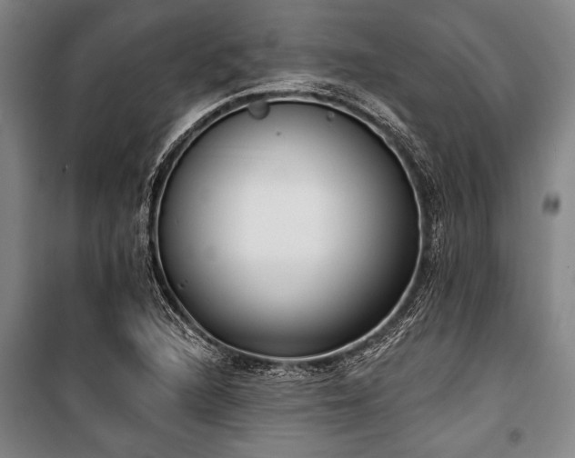 X0000101201216200806271343