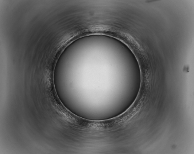 X0000101201217200806271343