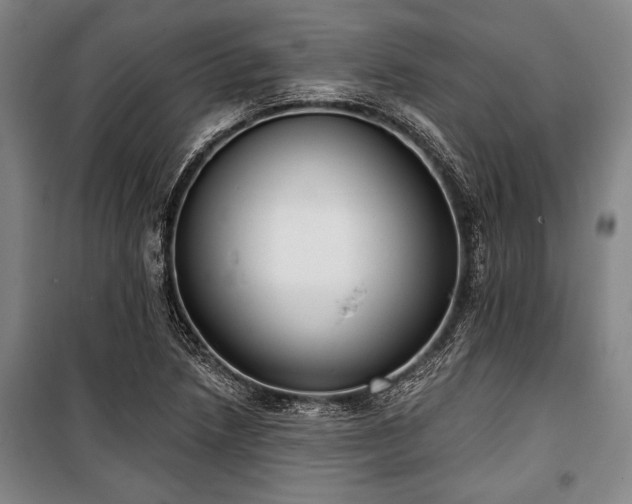 X0000101201218200806271343