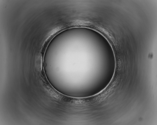 X0000101201219200806271343