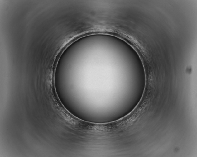 X0000101201220200806271343