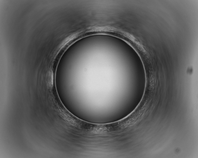 X0000101201221200806271343