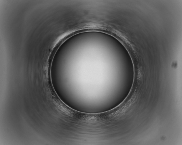 X0000101201222200806271343