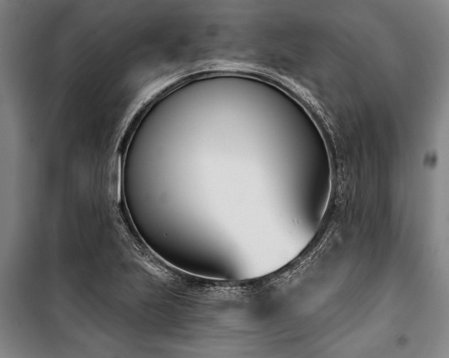 X0000101201223200806271343