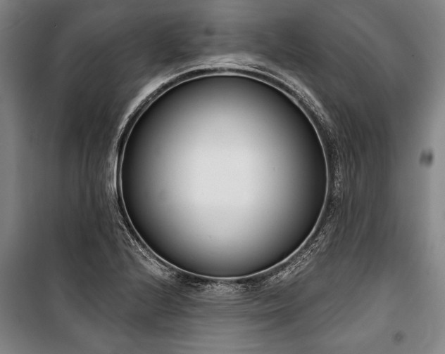 X0000101201224200806271343