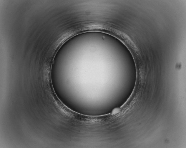 X0000101201225200806271343