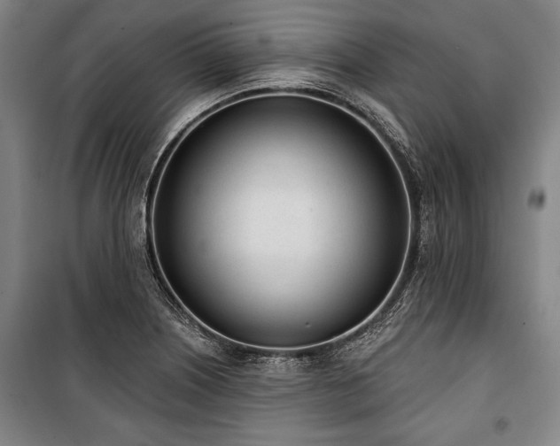 X0000101201226200806271343