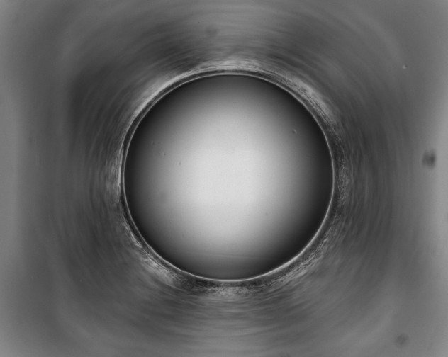 X0000101201228200806271343