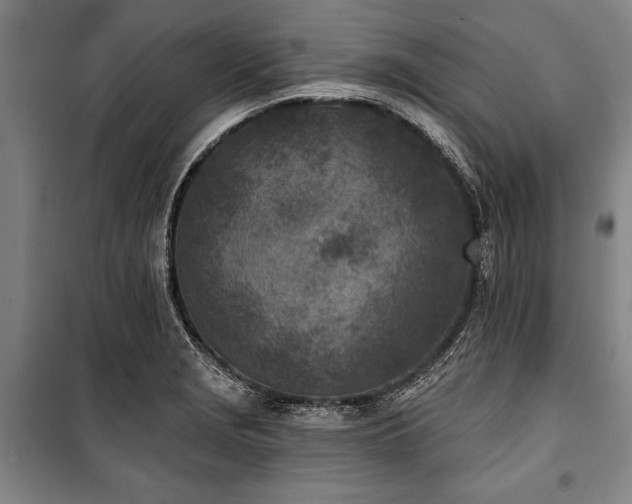 X0000101201229200806271343