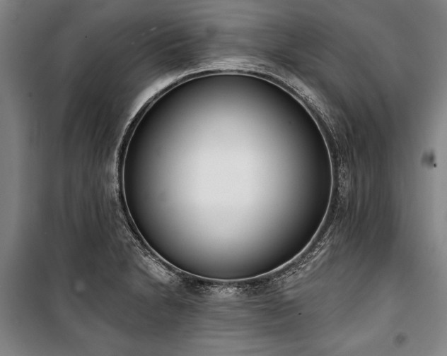 X0000101201230200806271343