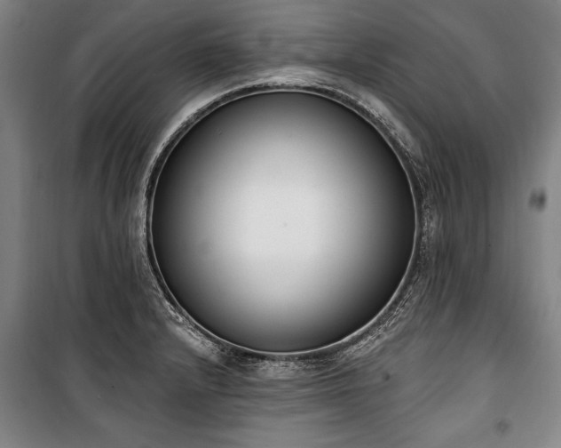 X0000101201232200806271343