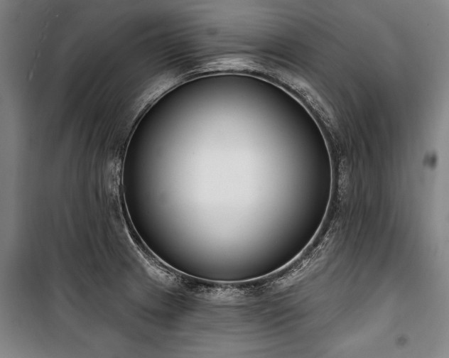 X0000101201233200806271343
