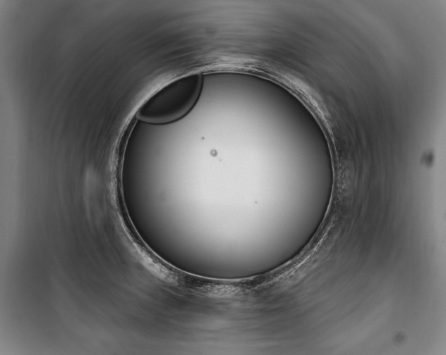 X0000101201235200806271343
