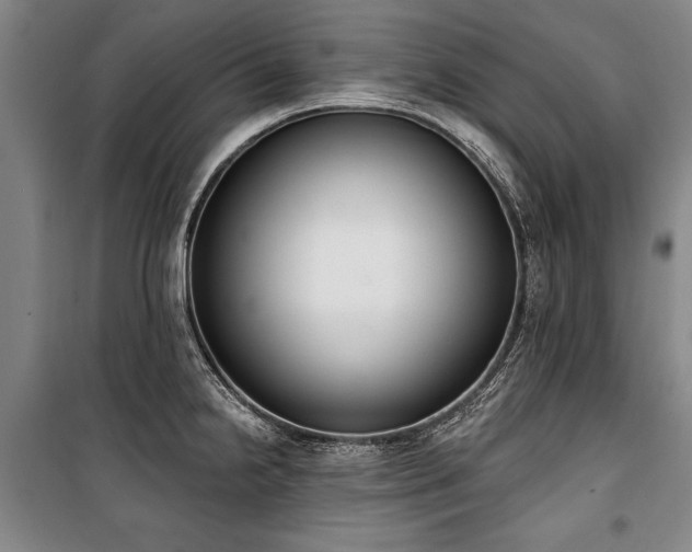 X0000101201238200806271343