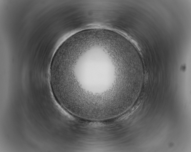 X0000101201239200806271343