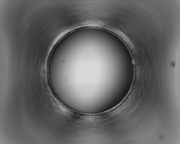 X0000101201240200806271343