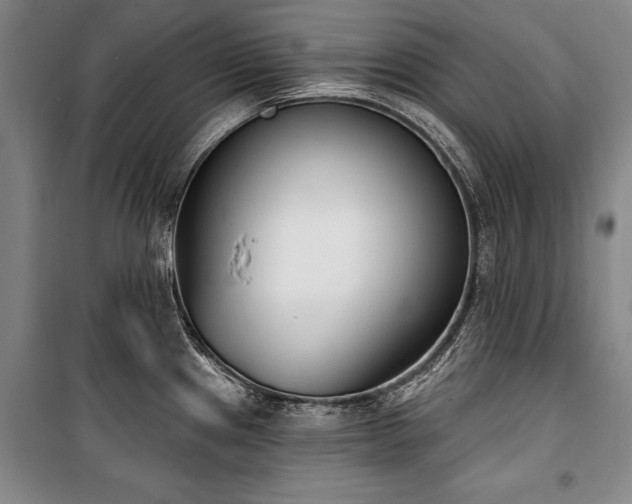 X0000101201241200806271343